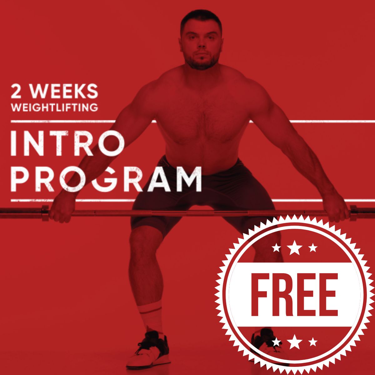 Free Intro Program